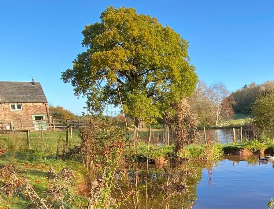 Oaklands Cottage On A Rural Farm Dingestow Zewnętrze zdjęcie